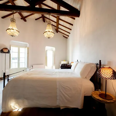 D H Lawrence קליארי